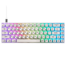 מקלדת גיימינג מכאנית SKYLOONG GK61 PRO White Pudding עברית/אנגלית