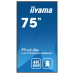 מסך שילוט דיגיטלי IIYAMA 75" ProLite IPS 4K Android 24/7